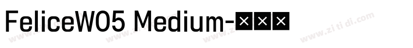 FeliceW05 Medium字体转换